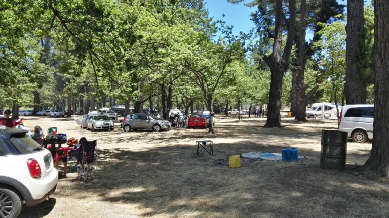 IMG 20161210 122224 picnic under the pine tree grove at klondyke cherry farm near ceres 1 768x431