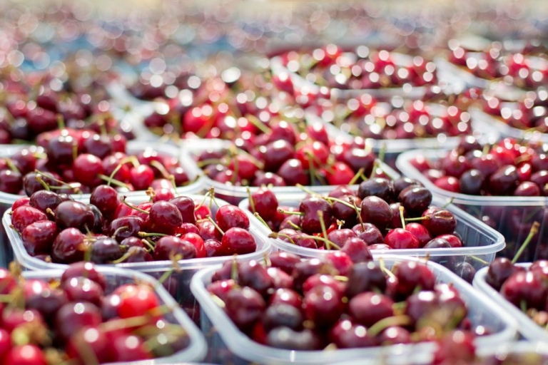 klondyke cherry farm 1030x687 1 1 768x512